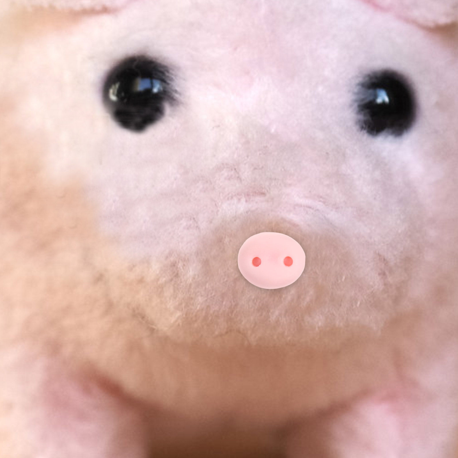 Embellishment Glue Craft - 100 pièces de nez de cochon