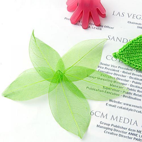 Craft Embellishments - Feuilles de Catbrier naturelles, embellissements verts