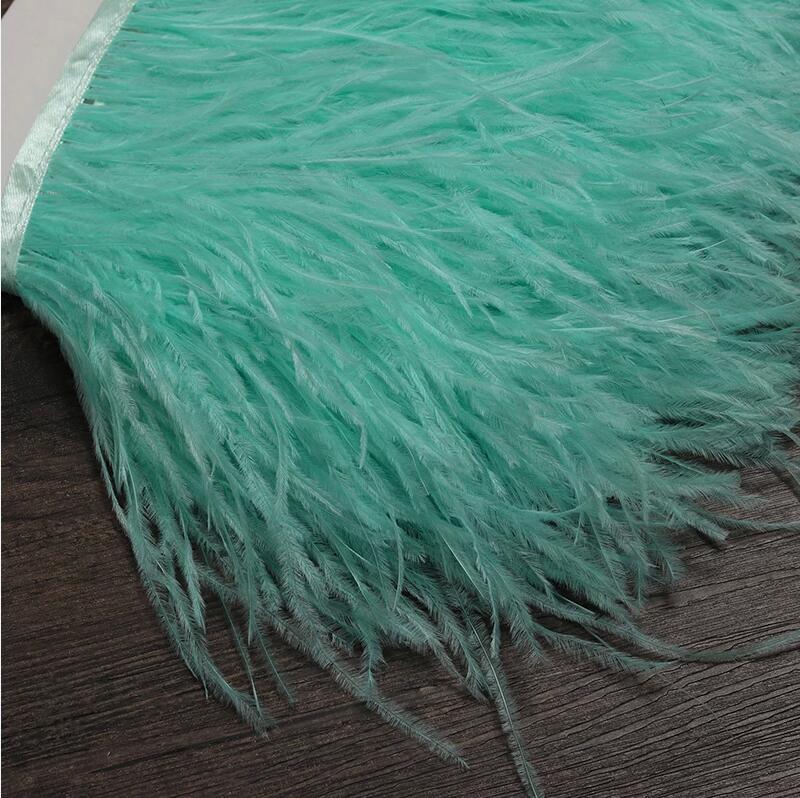 Ceinture en tissu avec plumes  - Feather Trim Marabou avis et prix