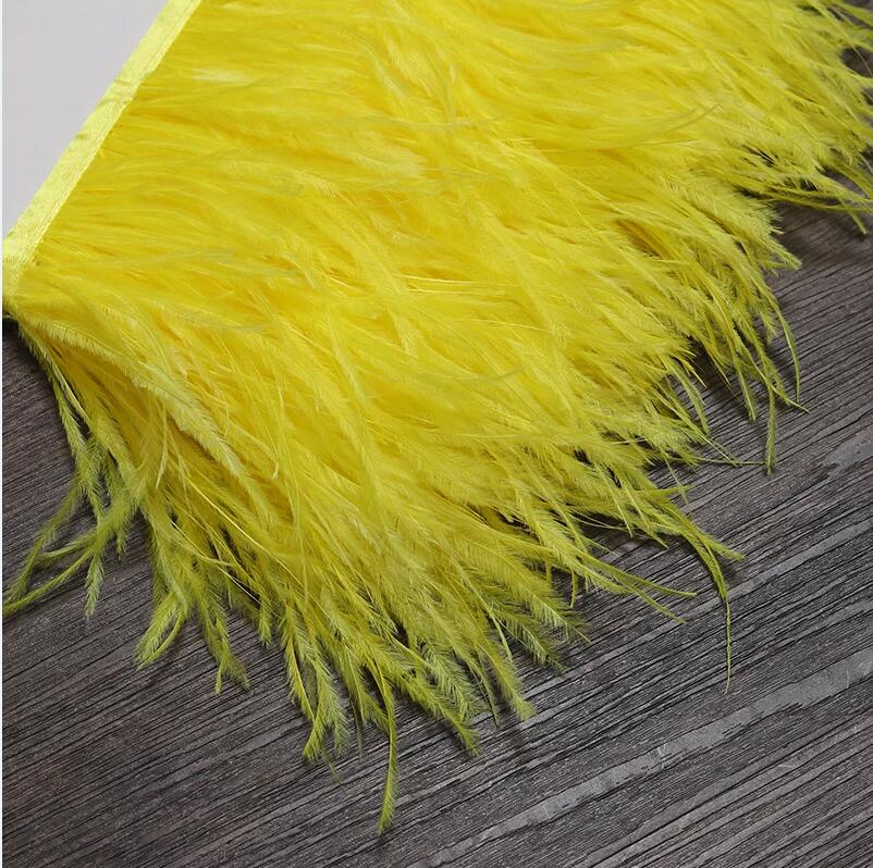 Ceinture en tissu avec plumes  - Feather Trim Marabou avis et prix