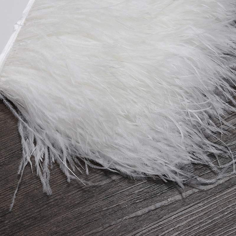 Ceinture en tissu avec plumes  - Feather Trim Marabou avis et prix
