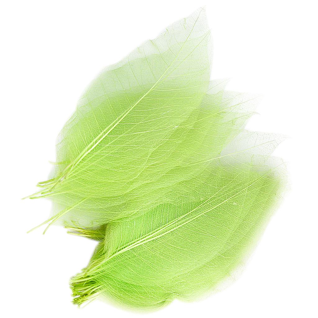Feuilles de Catbrier naturelle - Craft Embellishments avis et prix