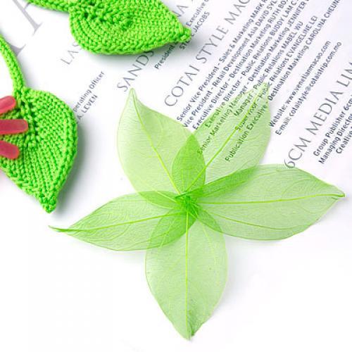 Feuilles de Catbrier naturelle - Craft Embellishments avis et prix