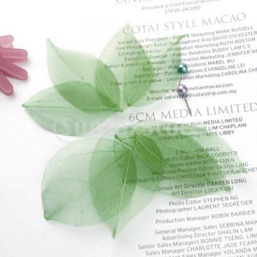 Feuilles de Catbrier naturelle - Craft Embellishments avis et prix