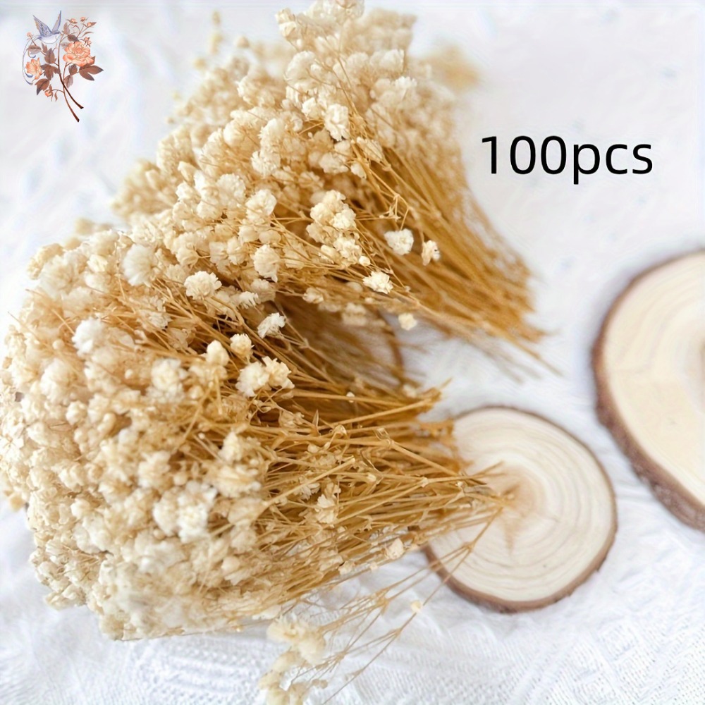 100 mini-fleurs séchées de gyp - Craft Embellishments avis et prix