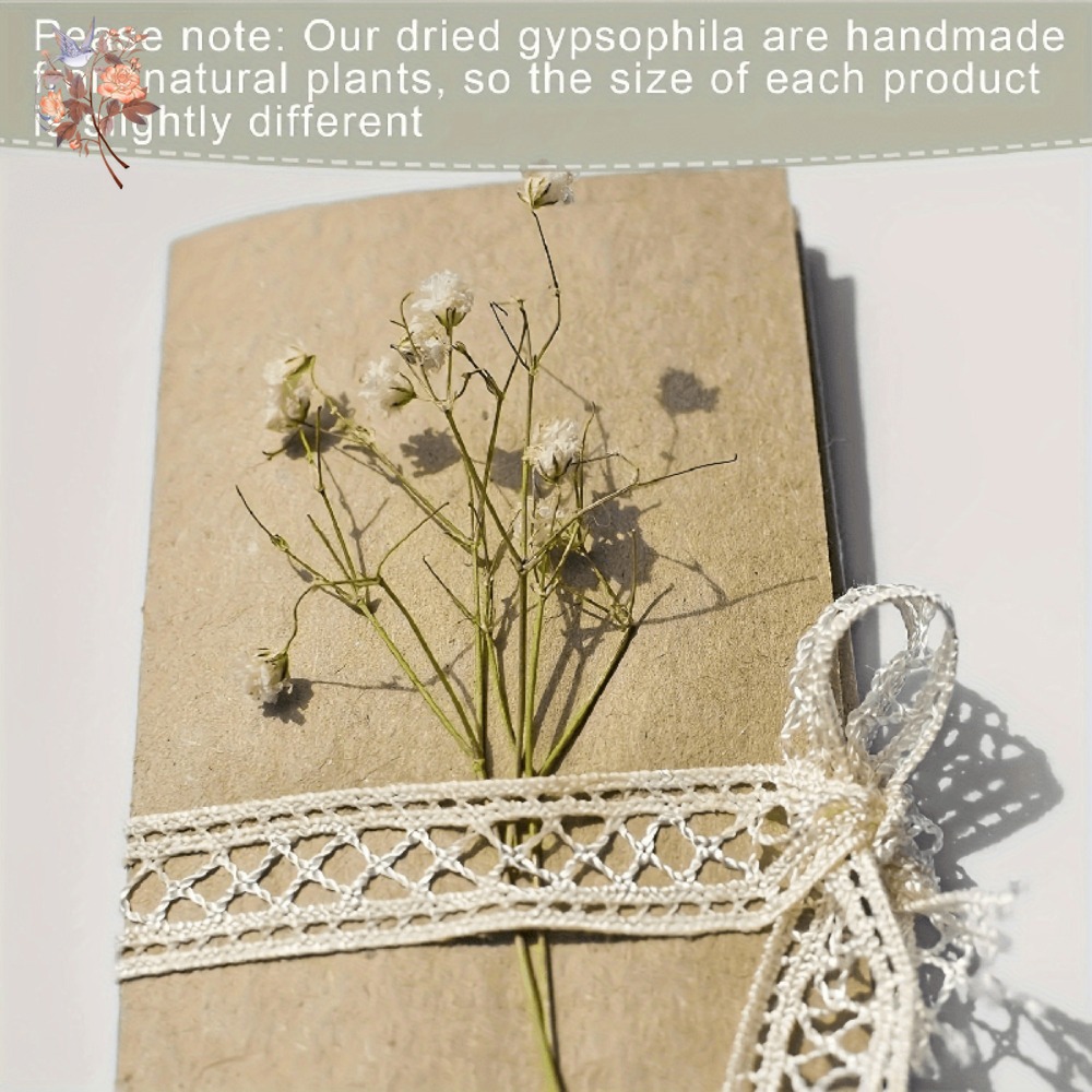 100 mini-fleurs séchées de gyp - Craft Embellishments avis et prix